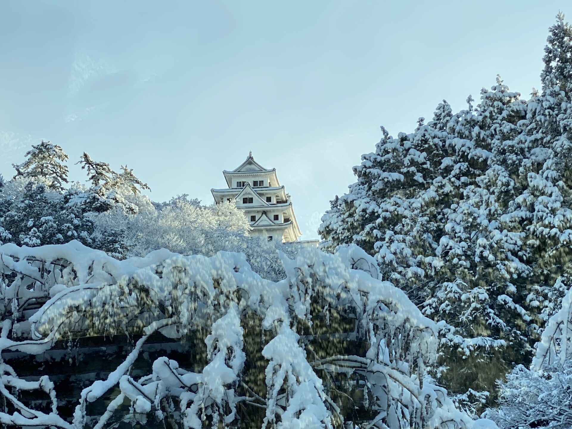 郡上 八幡 城