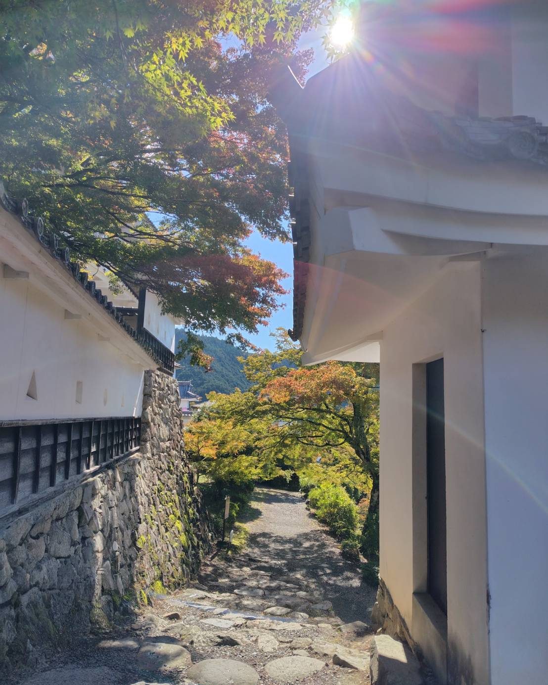 Instagramを更新しました！