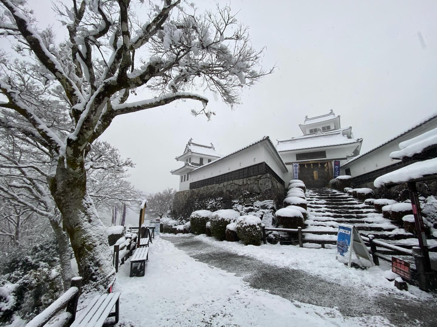 Instagramを更新しました！